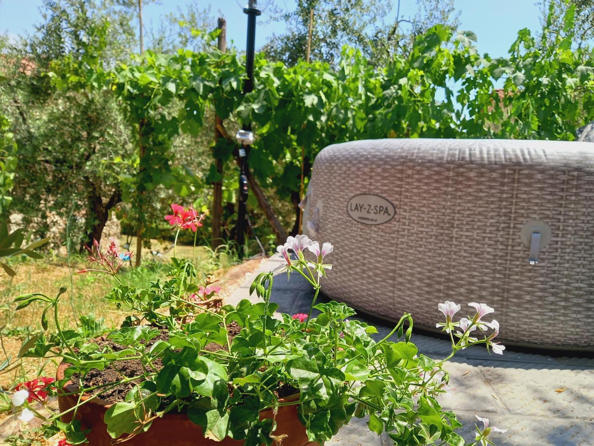 Agriturismo Fonteregia Montecatini Terme Zimmer foto